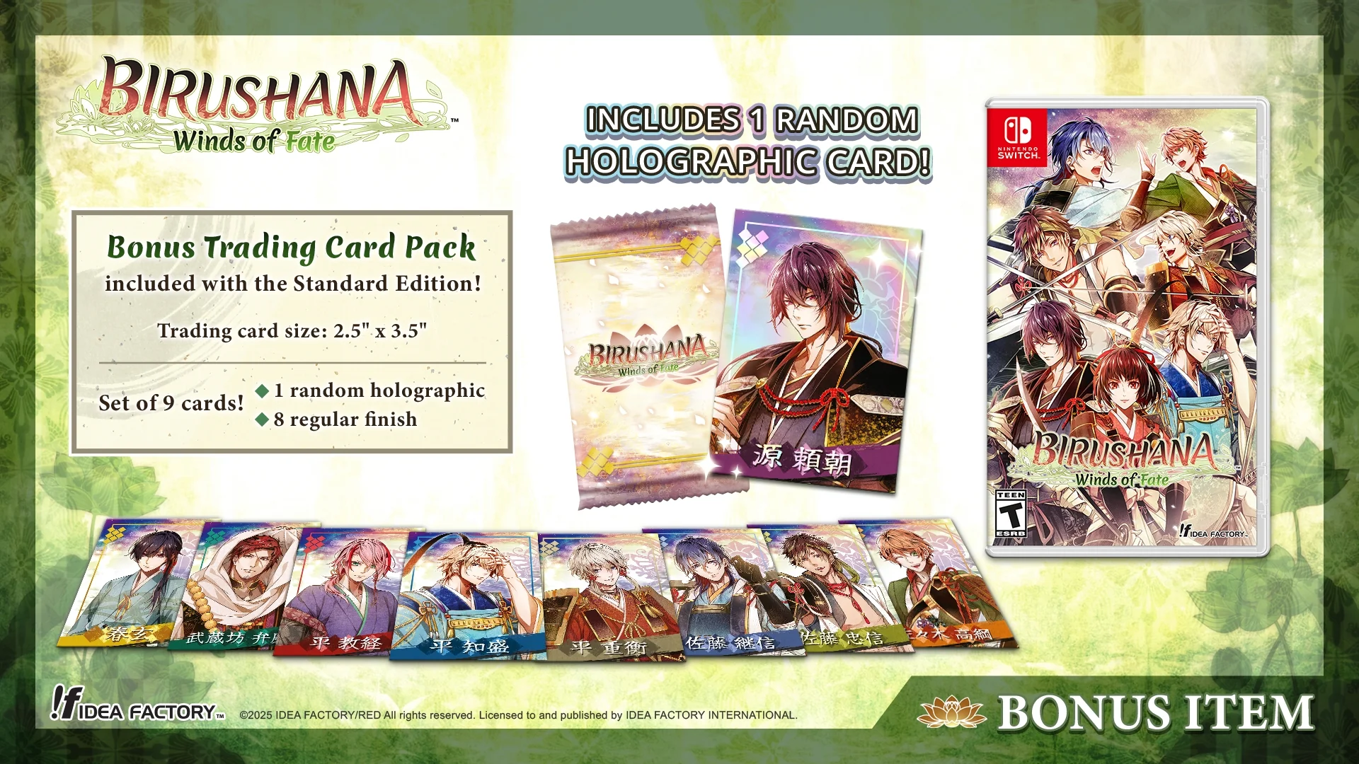Birushana: Winds of Fate Plus Edition - Image 3